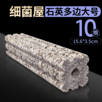 Bacterial House Grey, Polygonal 15.6*3.5cm