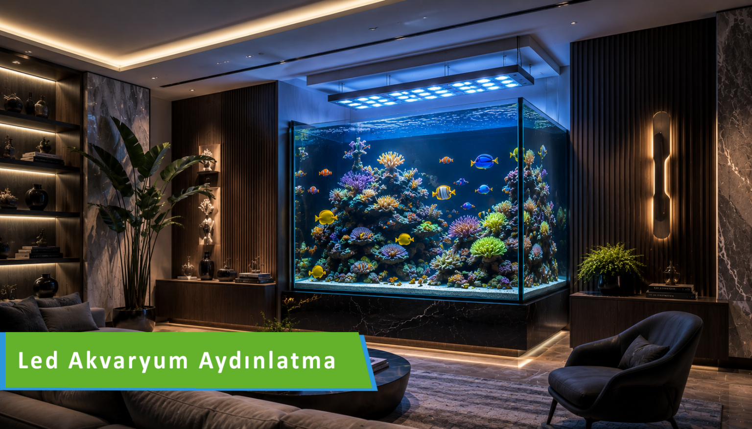 adm-akvaryumdizaynmerkezi-aydinlatma (2)